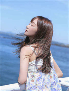 电视剧杜鹃的女儿