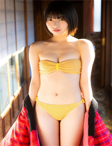江山如此多娇DVD版